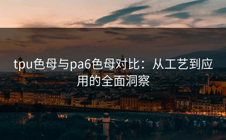 tpu色母与pa6色母对比：从工艺到应用的全面洞察