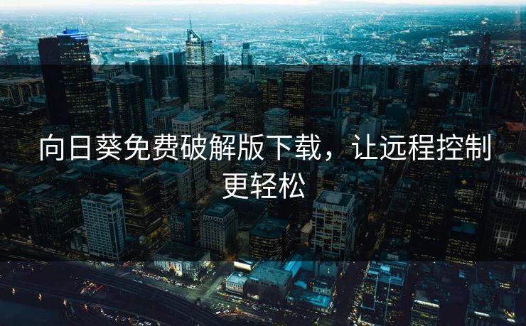 向日葵免费破解版下载，让远程控制更轻松