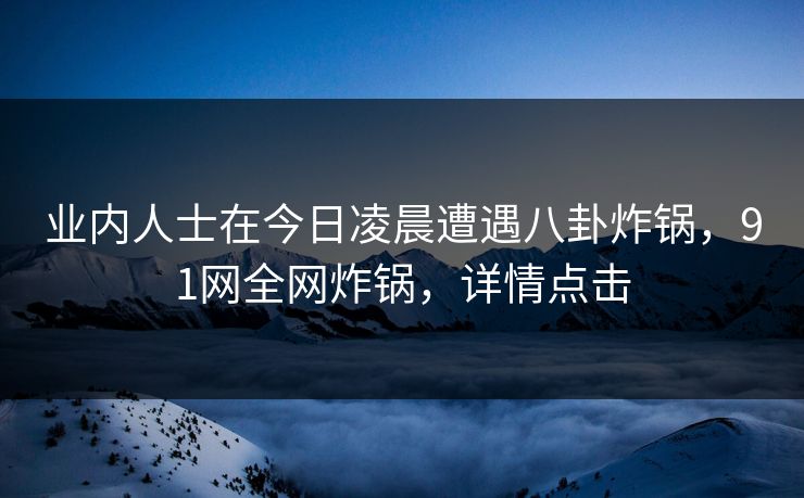 业内人士在今日凌晨遭遇八卦炸锅，91网全网炸锅，详情点击